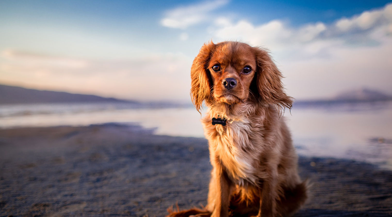 Schedule an appointment