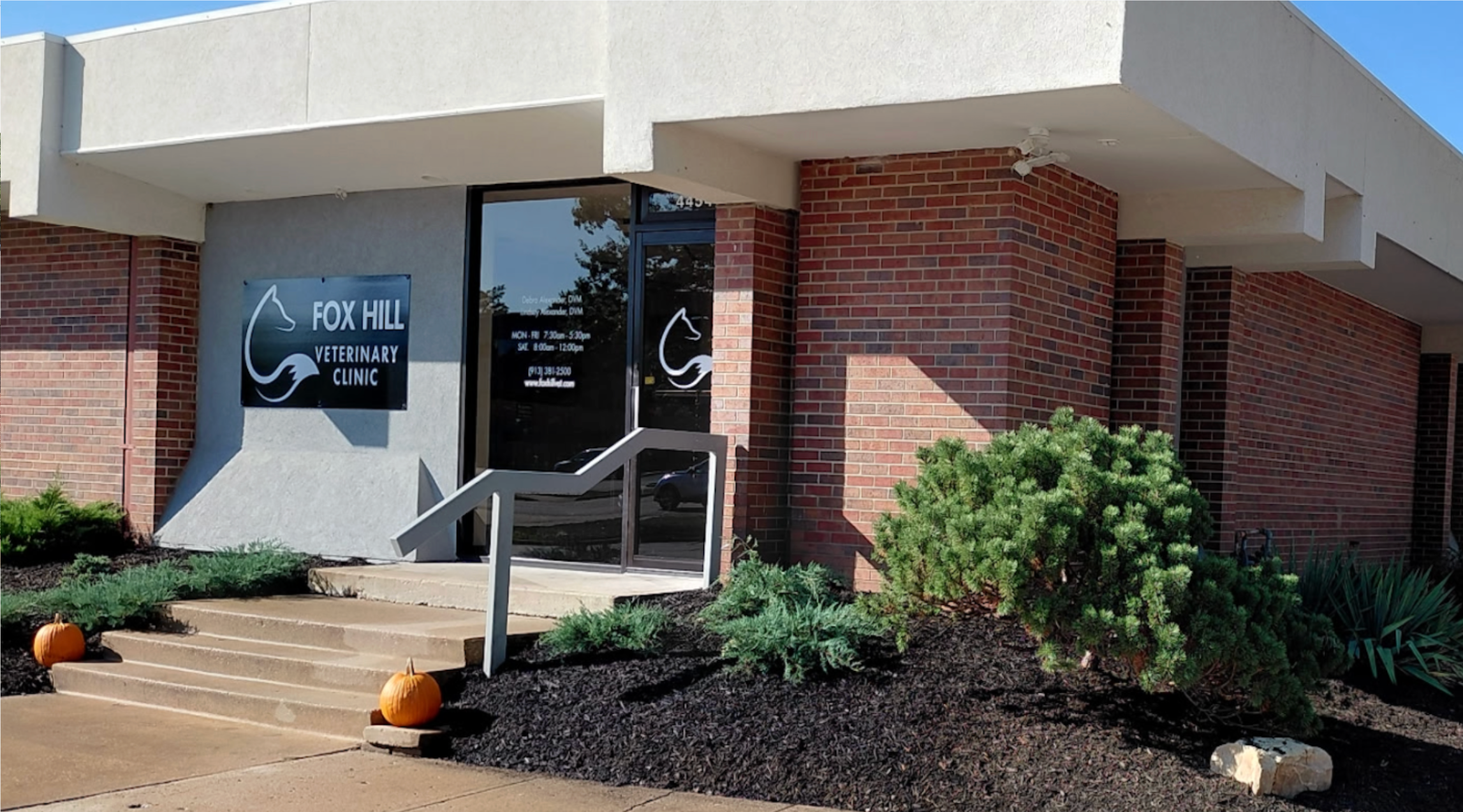 Which heartworm preventative is best for your pet?