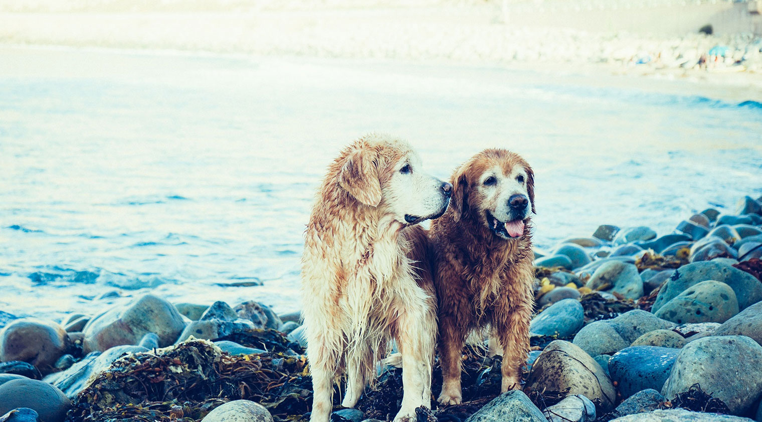 Schedule an appointment